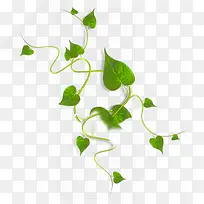 ����-������