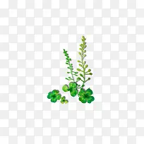 藤条-空若网 藤条-空若网