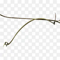 枝条-空若网 枝条-空若网