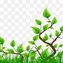 ��֦-������