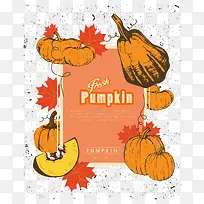 �Ϲϵ�������-������