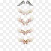 翅膀-空若网 翅膀-空若网