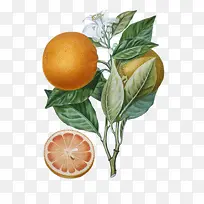 �ֻ������-������