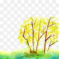 树叶-空若网 树叶-空若网