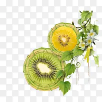 免抠绿色猕猴桃树枝花朵-空若网 免抠绿色猕猴桃树枝花朵-空若网