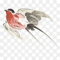 水彩手绘飞鸟素材-空若网 水彩手绘飞鸟素材-空若网