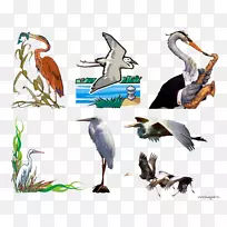 �׶�����������-��-������