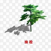 ����-������