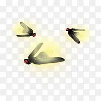 可爱萤火虫-空若网 可爱萤火虫-空若网