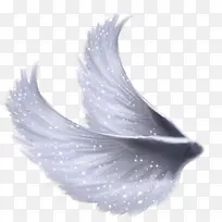 手绘翅膀-空若网 手绘翅膀-空若网