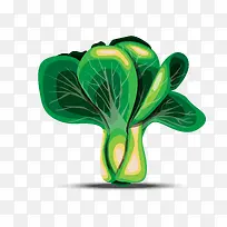 矢量油菜-空若网 矢量油菜-空若网