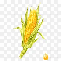 卡通食物玉米-空若网 卡通食物玉米-空若网