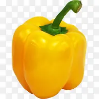 ��ɫ���崺���߲�װ��-������