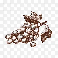 卡通手绘葡萄-空若网 卡通手绘葡萄-空若网