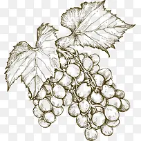 ʸ���ֻ������ز�-������