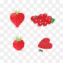 弗鲁蒂·迪博斯科·载体水果-覆盆子-空若网 弗鲁蒂·迪博斯科·载体水果-覆盆子-空若网