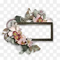 �ֻ滨���زĻ���ʸ���ز�-������