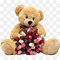 泰迪熊娃娃-空若网 泰迪熊娃娃-空若网