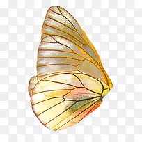 蝴蝶翅膀装饰图JJ20壁纸-空若网 蝴蝶翅膀装饰图JJ20壁纸-空若网