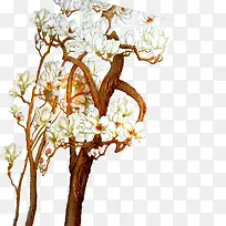 花树-空若网 花树-空若网