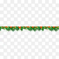 ʥ������ɫֲ�ﻨ��-������