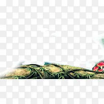 藤蔓缠绕树枝-空若网 藤蔓缠绕树枝-空若网