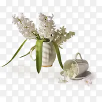 ��ɫ����-������