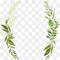 ��Լ��ֲ��ˮ�ʱ߿�-������