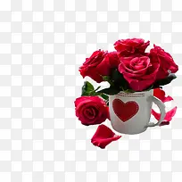 玫瑰花-空若网 玫瑰花-空若网
