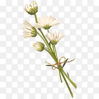 �ֻ滨���زĿ�ͨ�ʻ��ز�  ��-������