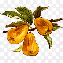 ��԰ˮ��������-��-������