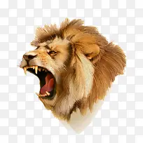 卡通雄狮-空若网 卡通雄狮-空若网