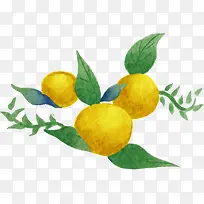 �����ɫˮ������-������