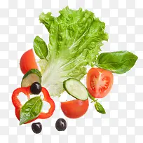 蔬菜-空若网 蔬菜-空若网