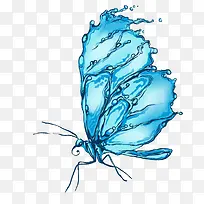 蓝色蝴蝶-空若网 蓝色蝴蝶-空若网