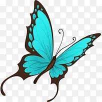 唯美蓝色蝴蝶-空若网 唯美蓝色蝴蝶-空若网