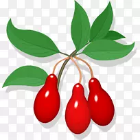 水果食品樱桃夹艺术.石榴-空若网 水果食品樱桃夹艺术.石榴-空若网