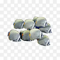 ÓãȺ±³¾°Í¼Æ¬-¿ÕÈôÍø ÓãȺ±³¾°Í¼Æ¬-¿ÕÈôÍø