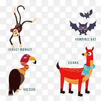 野生动物-空若网 野生动物-空若网