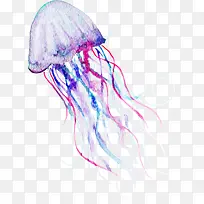 �ֻ�ˮ��ˮĸpng-������