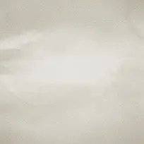 ��ֽ��������-������