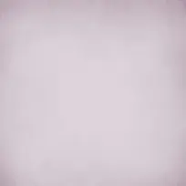 ��ֽ��������-������