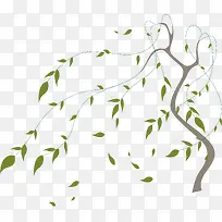 ��֦��Ҷ����羰ֲ���ͼ-������