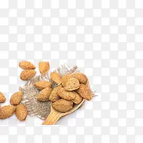 坚果摄影-空若网 坚果摄影-空若网