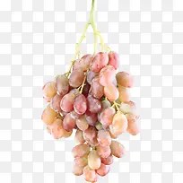 食物图标3D图片-空若网 食物图标3D图片-空若网