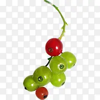 ʳ��ͼ���ֻ�ʳ��ͼƬ-������