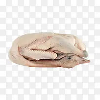 ����زĶ���ͼƬ-������