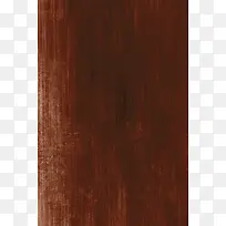 �����⼣��������-������