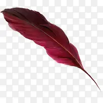 彩色小羽毛-空若网 彩色小羽毛-空若网