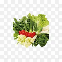 丰富的食材蔬菜-空若网 丰富的食材蔬菜-空若网